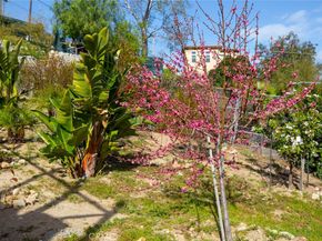 9336 Wayside Drive, Sunland CA 91040