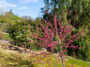 9336 Wayside Drive, Sunland CA 91040