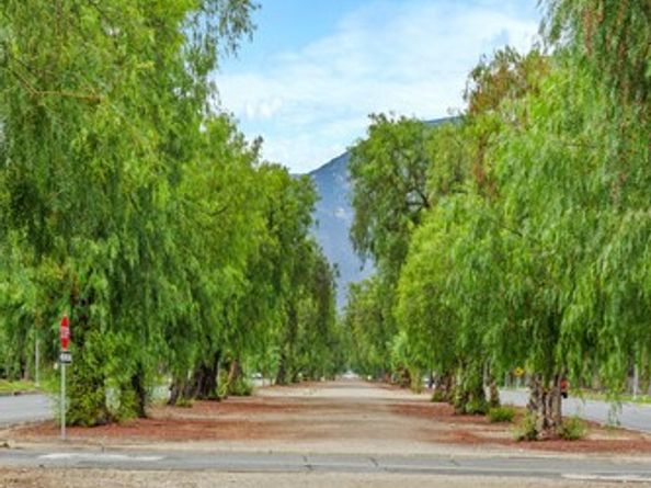 1346 N Euclid Avenue, Upland CA 91786