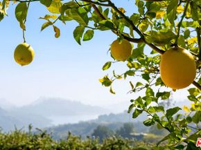 15216 Antelo Place, Los Angeles CA 90077