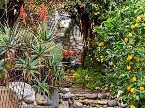 4665 N Figueroa Street, Los Angeles CA 90065