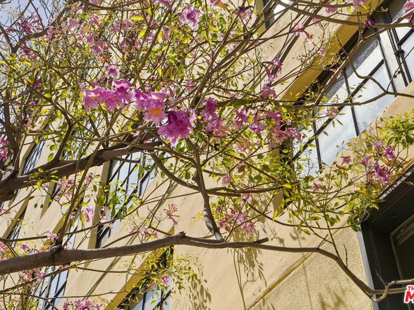 200 N San Fernando Road 314, Los Angeles CA 90031