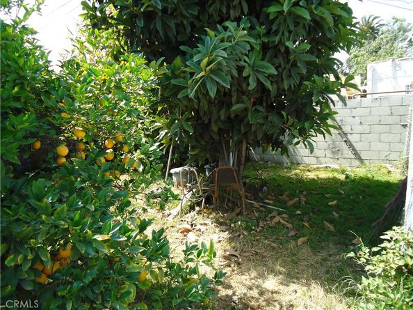 1723 browning blvd., Los Angeles CA 90062