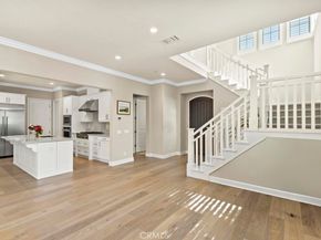 61 English Saddle, Irvine CA 92602