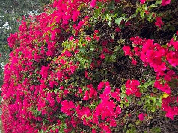 67 Sea Island Drive, Newport Beach CA 92660