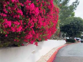 67 Sea Island Drive, Newport Beach CA 92660