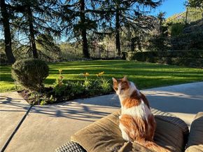 5431 Ocean View, La Canada Flintridge CA 91011