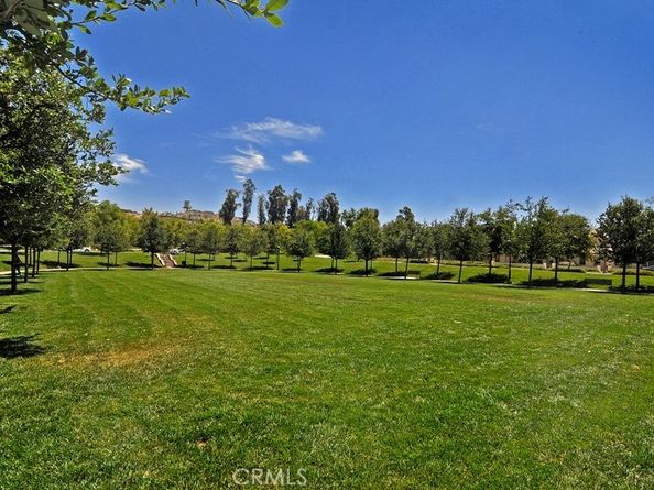 207 Native Spring, Irvine CA 92618