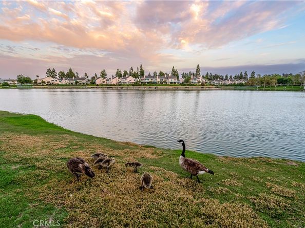 11 Fallingstar, Irvine CA 92614