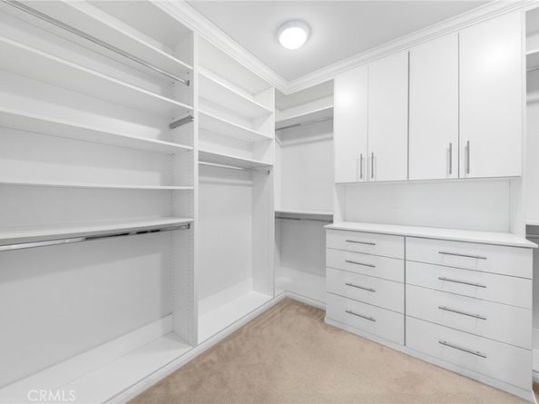 51 Thoroughbred, Irvine CA 92602