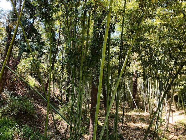 633 Norumbega Drive, Monrovia CA 91016