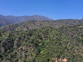 633 Norumbega Drive, Monrovia CA 91016