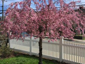 188 Hamilton Avenue, Greenwich CT 06830