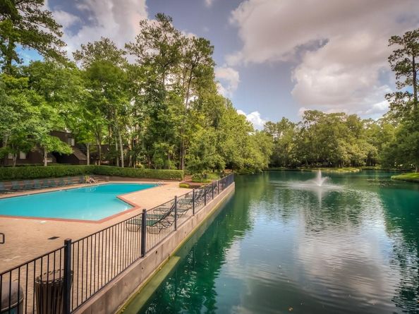 246 Litchfield Lane, Houston TX 77024