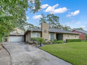 20 Little John Lane, Conroe TX 77301