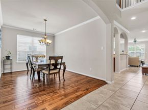 13918 Albany Springs Lane, Houston TX 77044