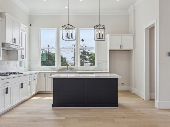 1004 Golden Nectar Lane, Houston TX 77008