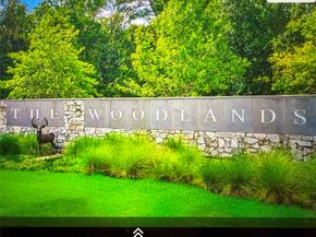 19 Baylark Place, The Woodlands TX 77382