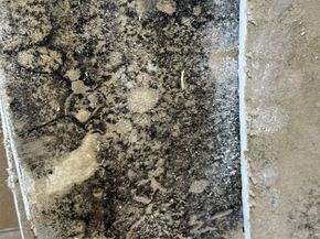 18 Hawkseye Place, The Woodlands TX 77381