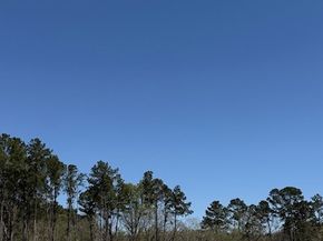 32118 Pond Pine Court, Spring TX 77386