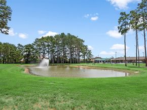 13302 Cameron Reach Drive, Tomball TX 77377