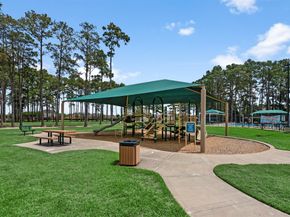 13302 Cameron Reach Drive, Tomball TX 77377