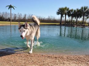 19 Rivercoach Lane, Sugar Land TX 77479