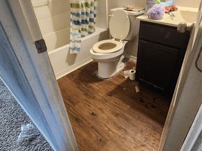 5612 Rainflower Terrace Lane, Spring TX 77389