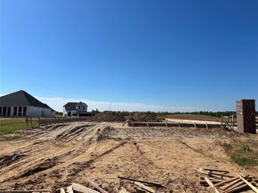 10331 Vinca Minor Lane, Houston TX 77016