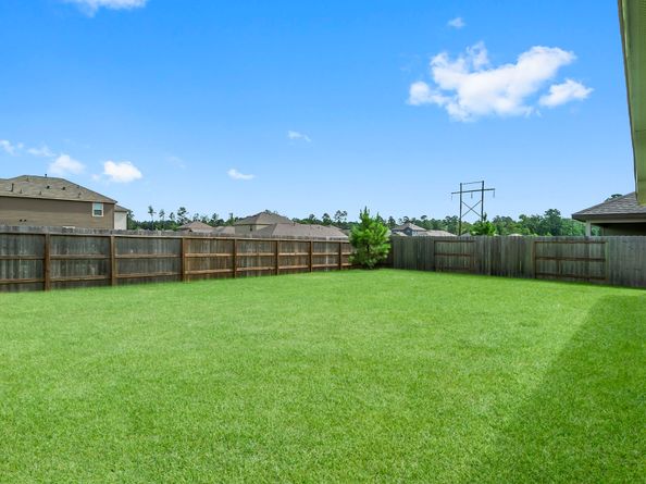 3125 Catalonion Court, Conroe TX 77301