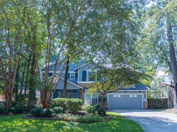 51 S Crisp Morning Circle