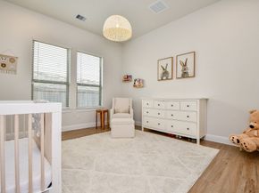 15107 Red Buckeye Drive, Cypress TX 77433