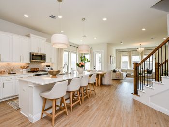 15107 Red Buckeye Drive