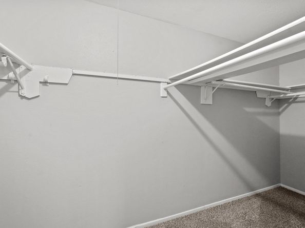 7215 Trogon Lane, Houston TX 77083