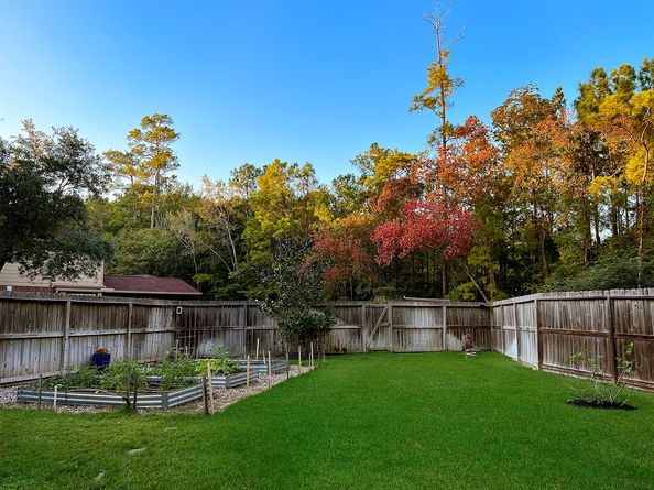 10 Acacia Park Place, The Woodlands TX 77382