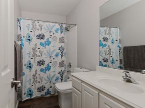 10 Acacia Park Place, The Woodlands TX 77382