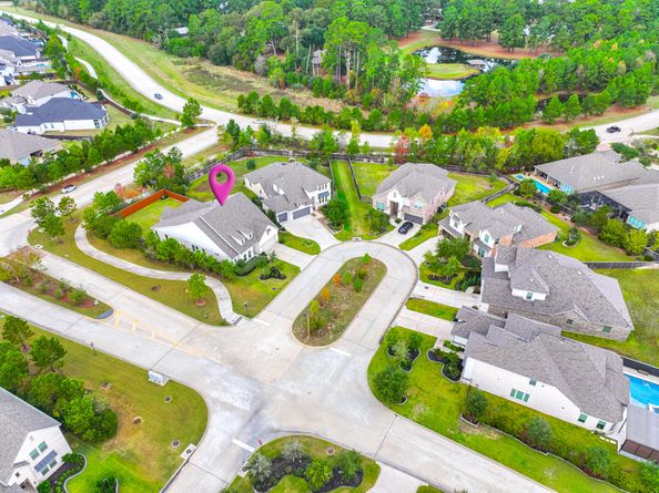 10 Fringetree Bark Court, The Woodlands TX 77375