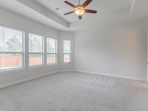 10 Fringetree Bark Court, The Woodlands TX 77375