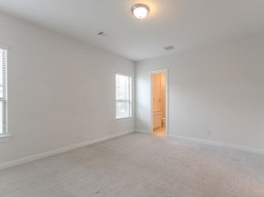 10 Fringetree Bark Court, The Woodlands TX 77375