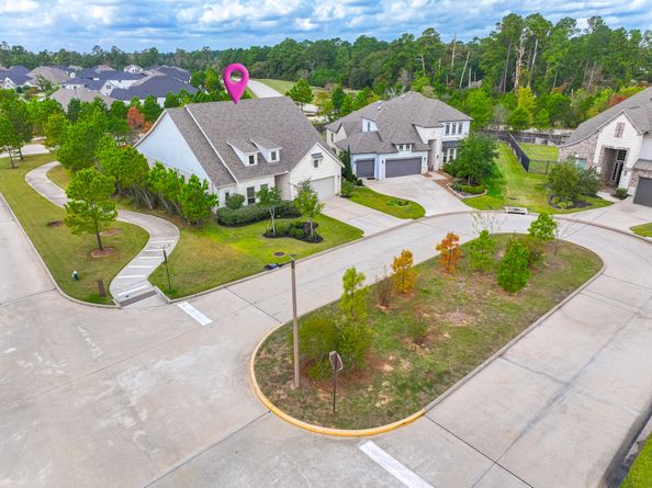 10 Fringetree Bark Court, The Woodlands TX 77375