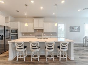 10 Fringetree Bark Court, The Woodlands TX 77375