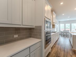 10 Fringetree Bark Court, The Woodlands TX 77375