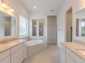 10 Fringetree Bark Court, The Woodlands TX 77375