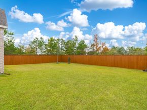 10 Fringetree Bark Court, The Woodlands TX 77375