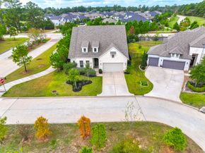 10 Fringetree Bark Court, The Woodlands TX 77375