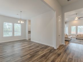 10 Fringetree Bark Court, The Woodlands TX 77375