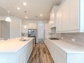 10 Fringetree Bark Court, The Woodlands TX 77375