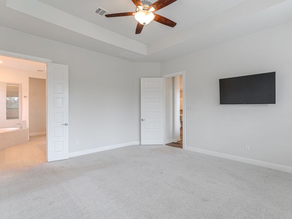 10 Fringetree Bark Court, The Woodlands TX 77375