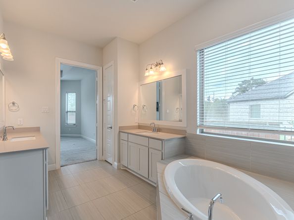 10 Fringetree Bark Court, The Woodlands TX 77375