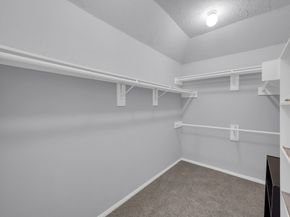 30911 Coral Park Drive, Spring TX 77386